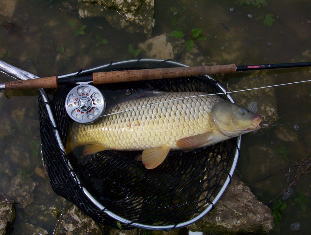 First Cast Fly Fishing: Two Hand Switch Rod Class in Dover, New