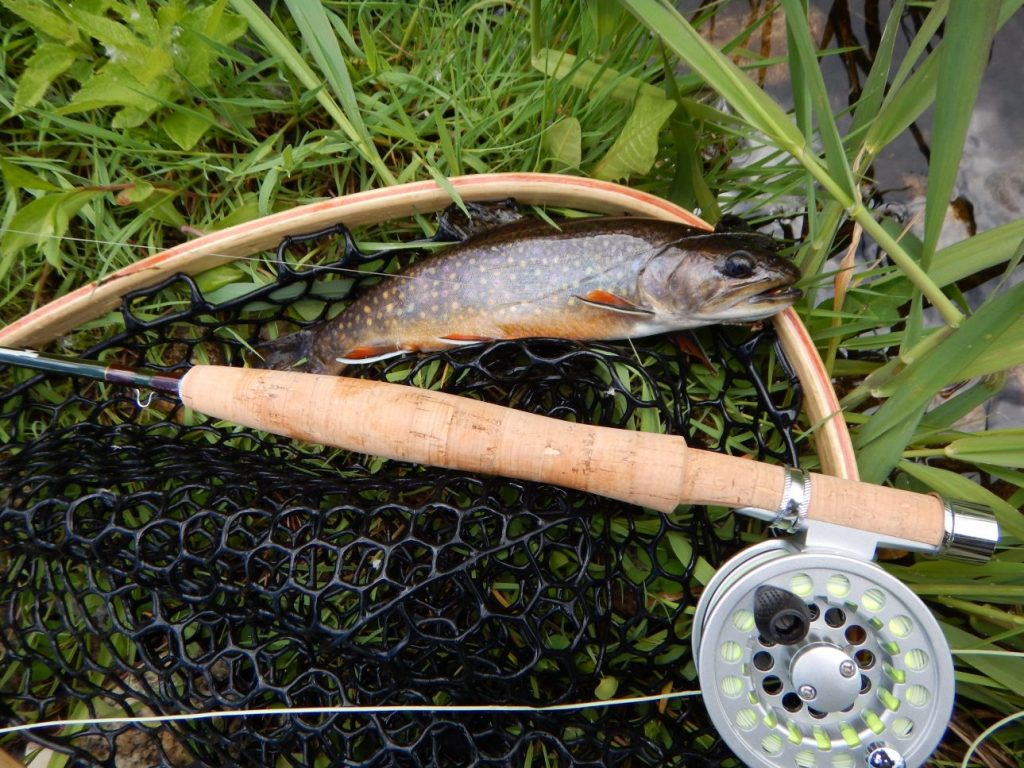 Manitoba's Wild Brook Trout - Tenkara Fly Fishing - Winnipeg Manitoba