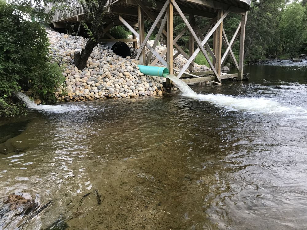 Manitoba Fly Fishing River