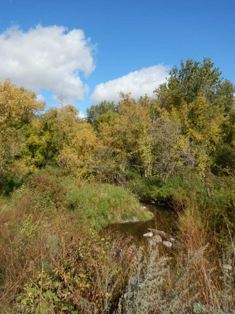 Un-named Manitoba Creek