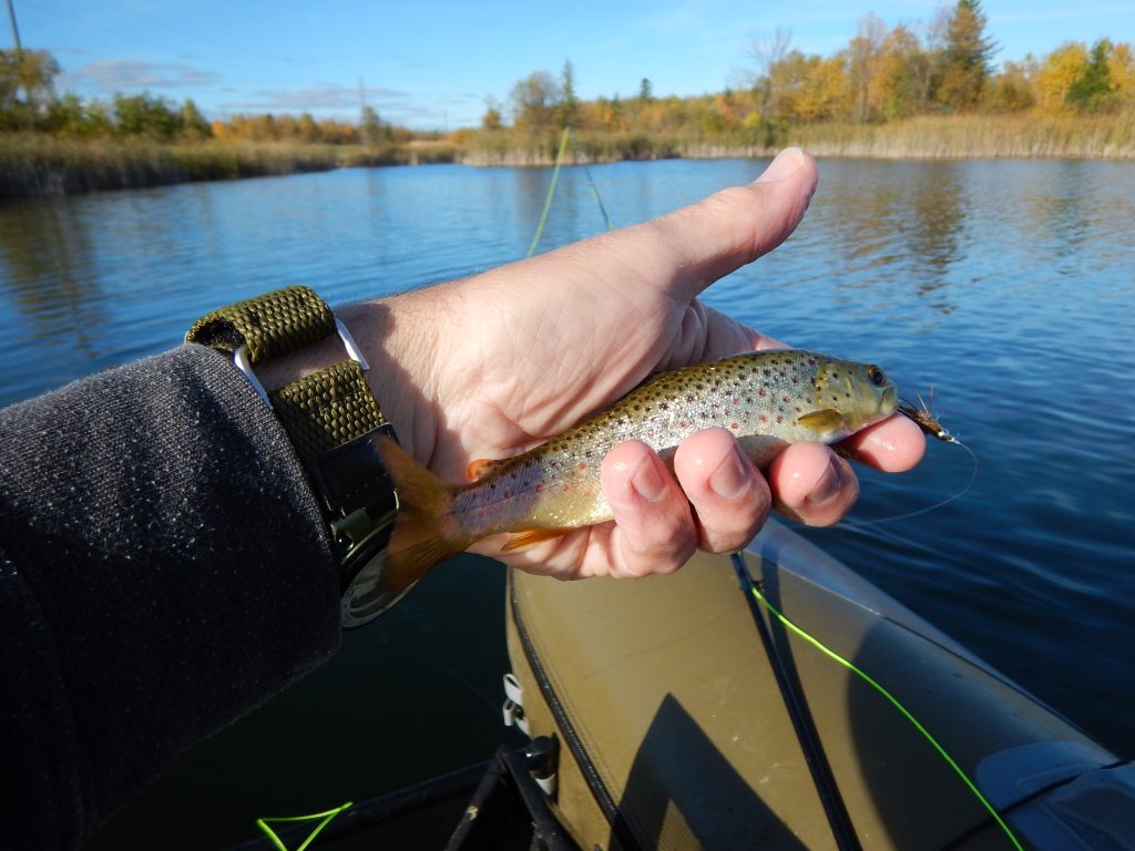 Whiteshell Pike and Bass Trip - Float Tube Fishing - Fly Fishing