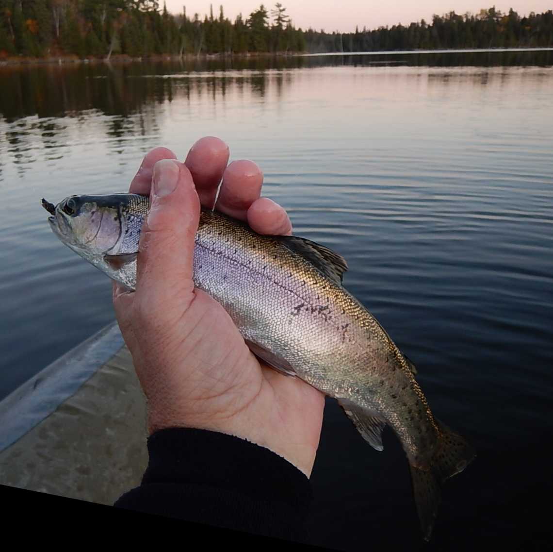 Whiteshell Pike and Bass Trip - Float Tube Fishing - Fly Fishing