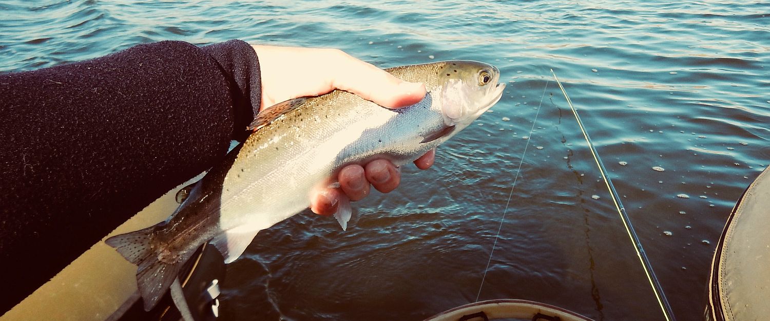 Still Water Fly Fishing Manitoba