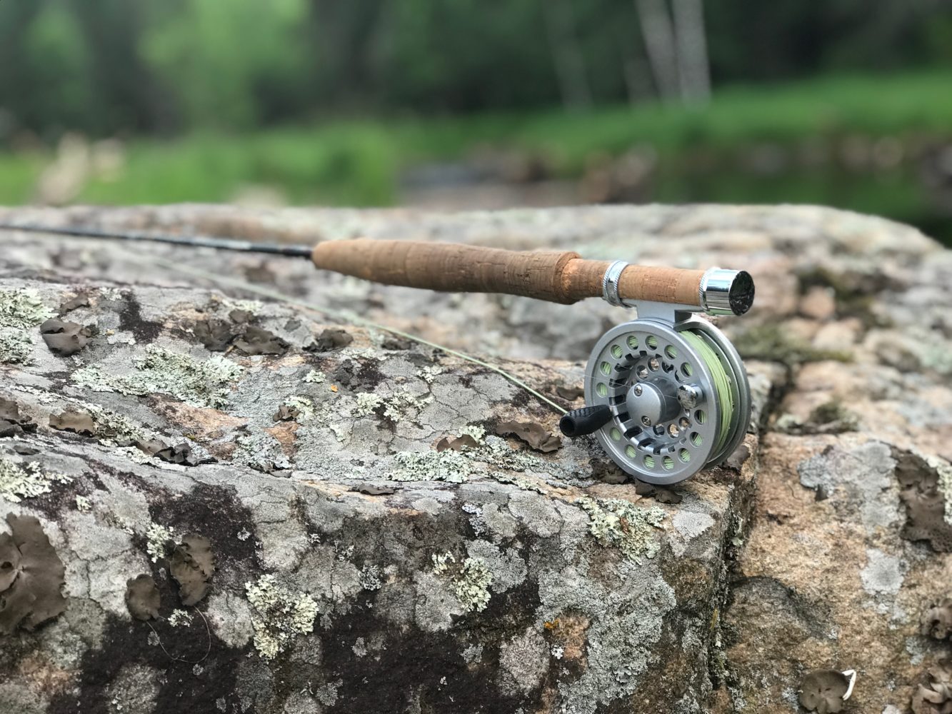 Manitoba Trout Fly Fishing