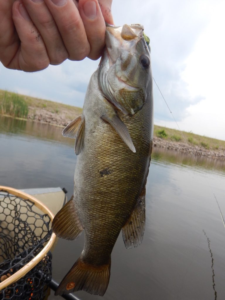 Big Creek Manitoba Fly Fishing for Bass and Pike - Fly Fishing Manitoba