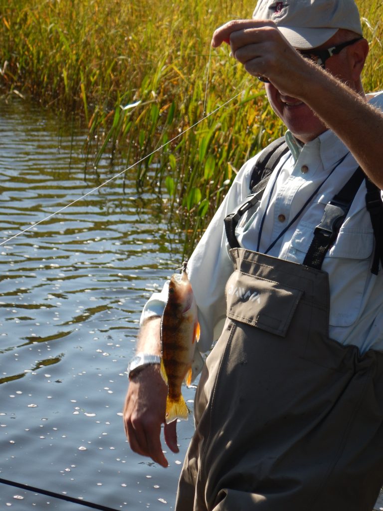 Manitoba's Wild Brook Trout - Tenkara Fly Fishing - Winnipeg Manitoba