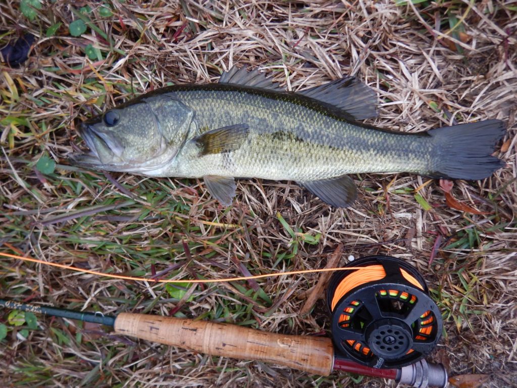 Duck River Bass Variety - ON THE FLY SOUTH