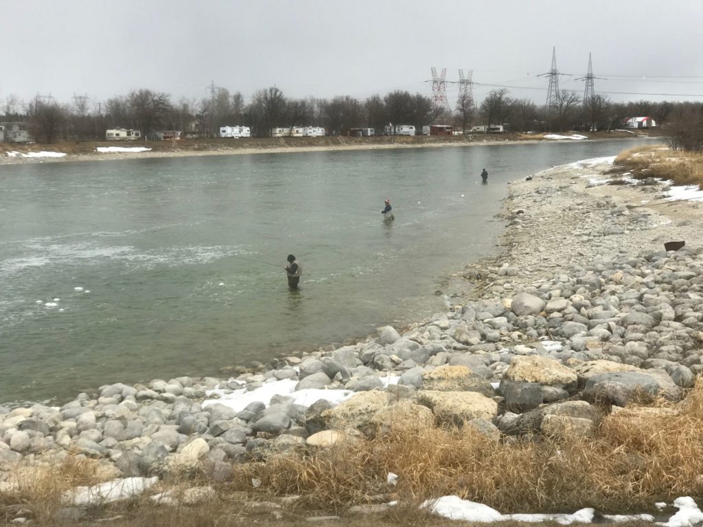 Fairford River Freeze Off (FRFO) -Whitefish Tulabi Fly Fishing Manitoba