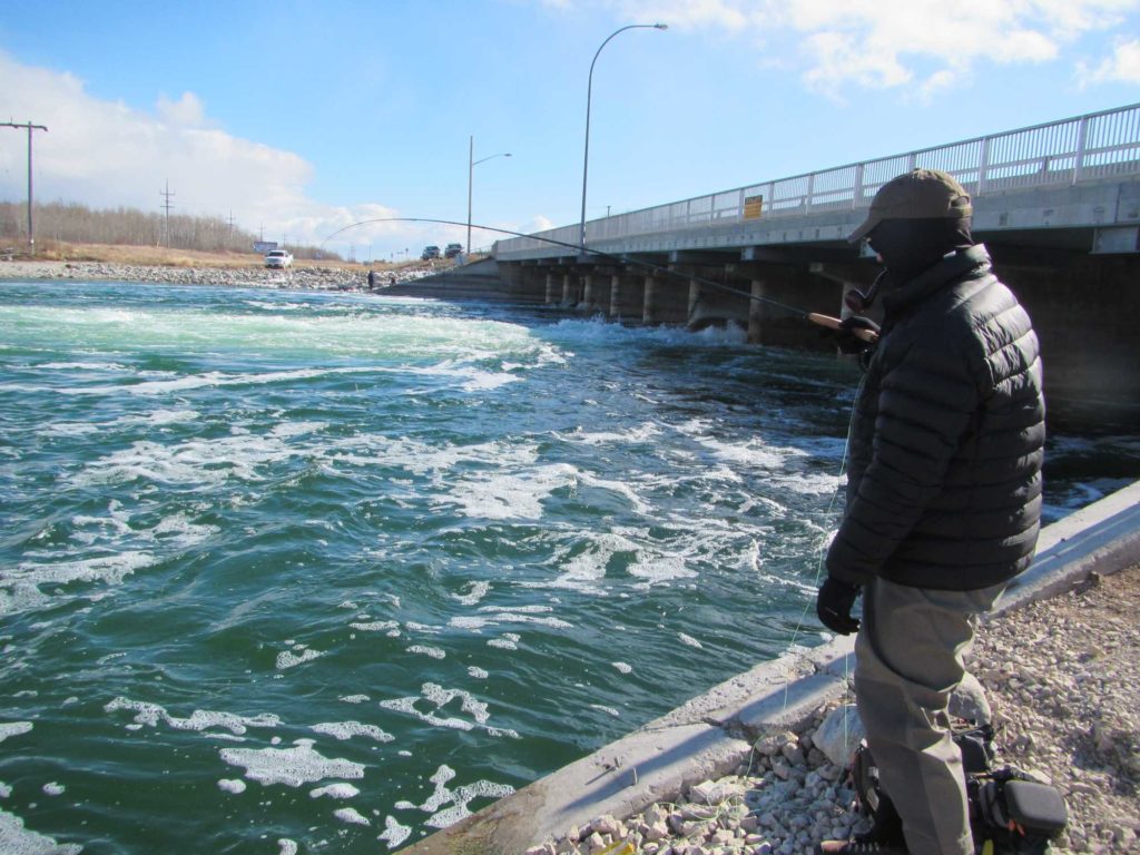 Ultimate Manitoba Shore Fishing Tour: Fairford River Madness