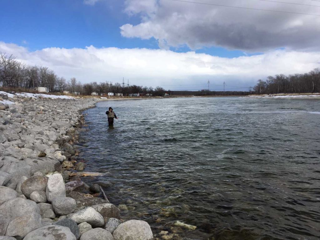 Fairford River Freeze Off (FRFO) -Whitefish Tulabi Fly Fishing Manitoba