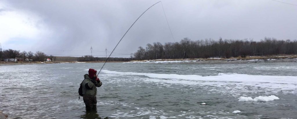 Fairford River Stephen Jay Fly Fishing - Fly Fishing Manitoba