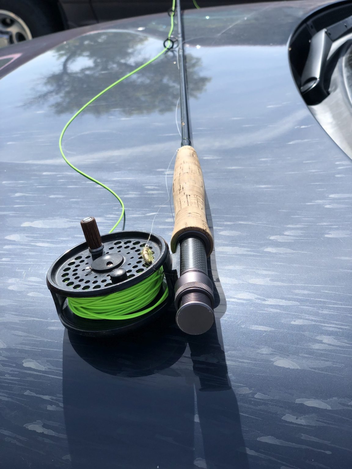 Fly Fishing Lessons Casting Classes Fly Fishing Manitoba