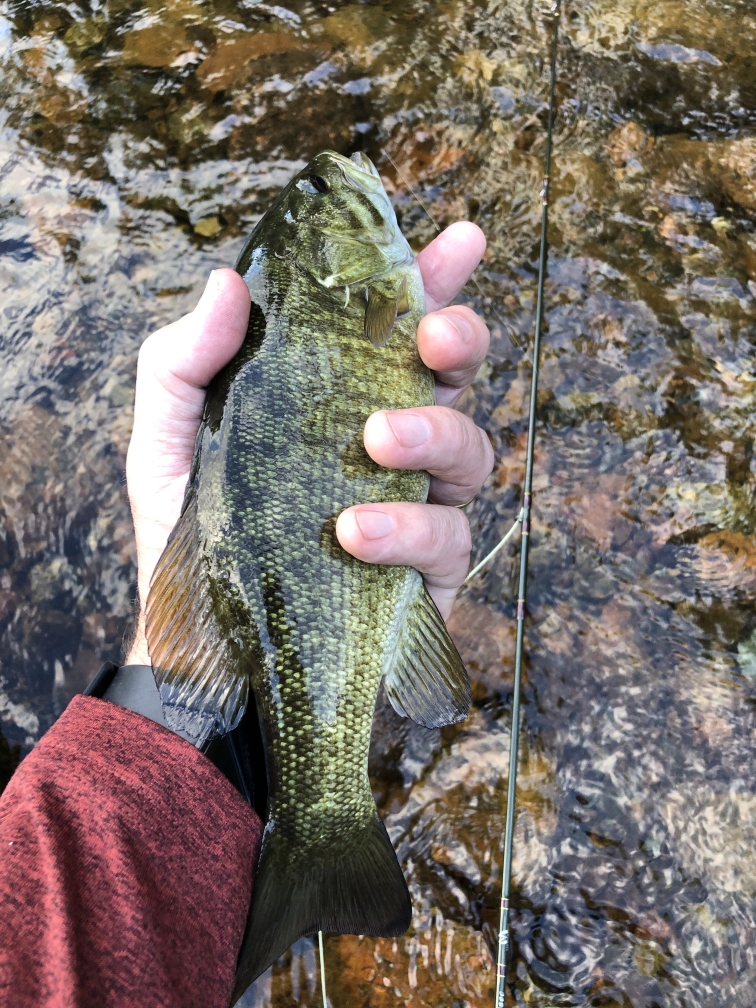 Reynolds Ponds Bass  Manitoba Fishing Forum