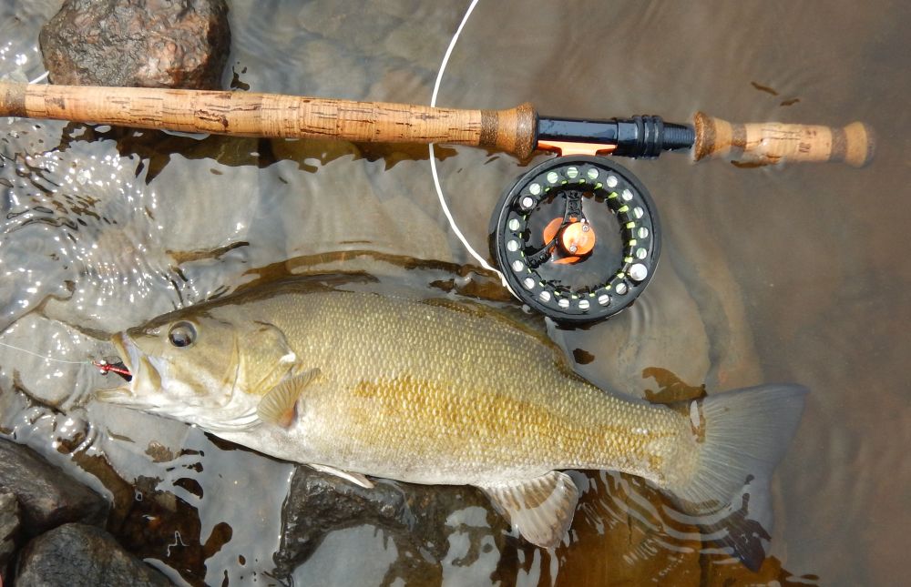 Small Mouth Bass Archives - Fly Fishing Manitoba